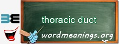 WordMeaning blackboard for thoracic duct